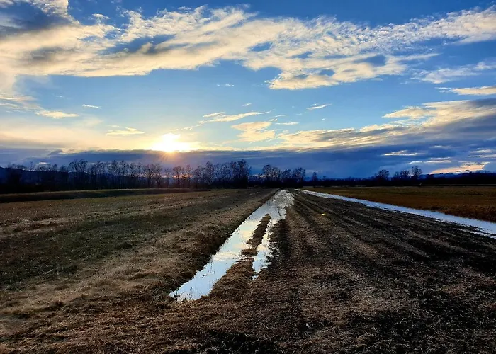 Barje I ليوبليانا