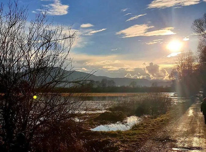 Barje I * ليوبليانا